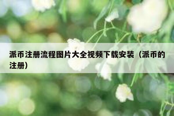 派币注册流程图片大全视频下载安装（派币的注册） 第1张