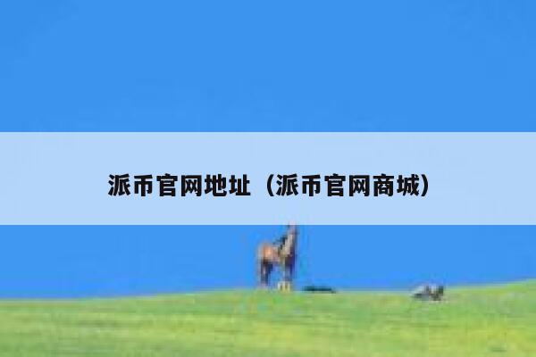 派币官网地址（派币官网商城） 第1张