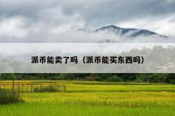 派币能卖了吗（派币能买东西吗） 第1张