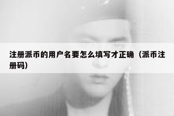 注册派币的用户名要怎么填写才正确（派币注册码） 第1张