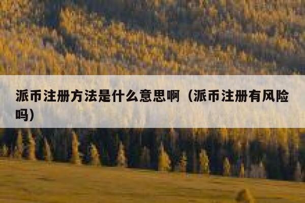 派币注册方法是什么意思啊（派币注册有风险吗） 第1张