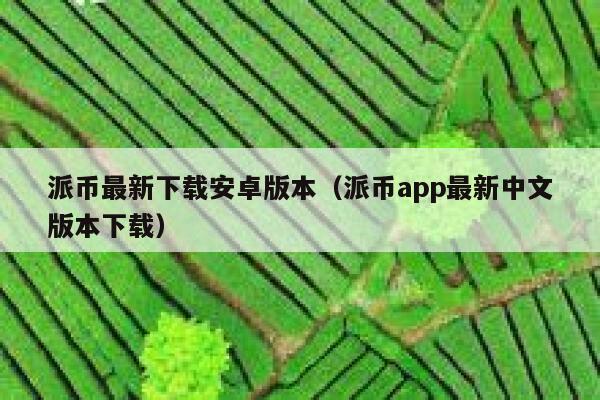 派币最新下载安卓版本（派币app最新中文版本下载） 第1张