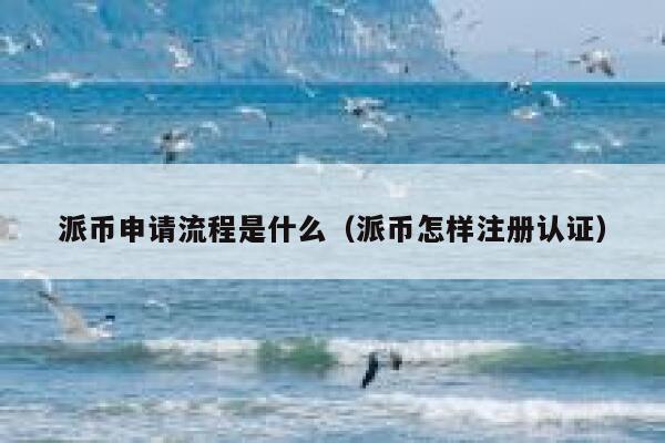派币申请流程是什么(派币怎样注册认证) 第1张 派币申请流程是什么(派币怎样注册认证) 第1张