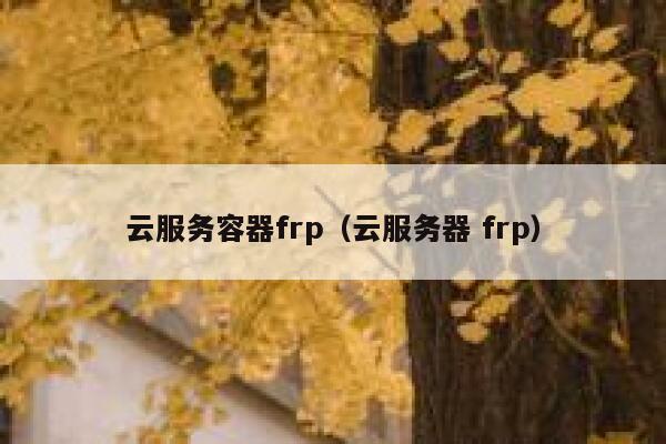 云服务容器frp（云服务器 frp） 第1张