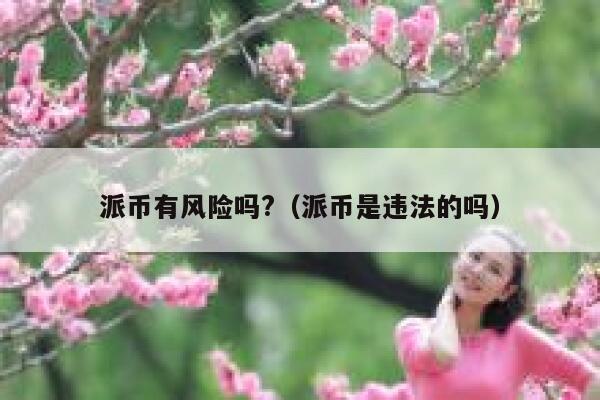 派币有风险吗?（派币是违法的吗） 第1张