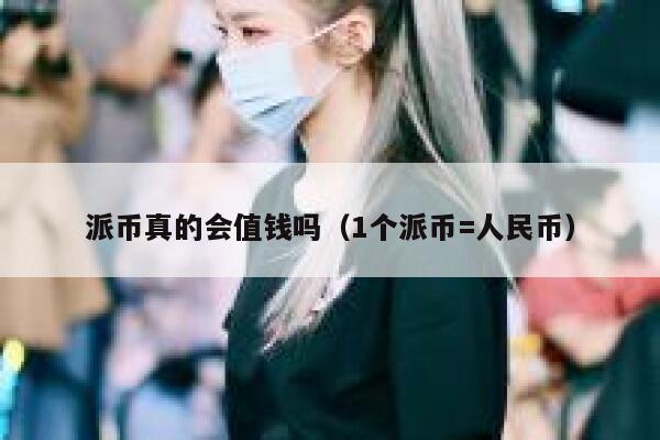 派币真的会值钱吗（1个派币=人民币） 第1张