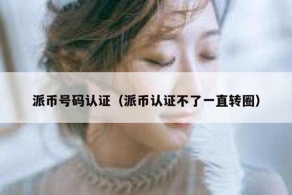 派币号码认证（派币认证不了一直转圈） 第1张