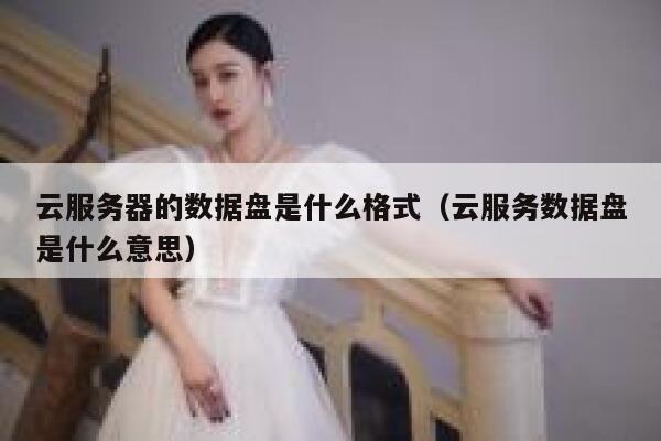 云服务器的数据盘是什么格式（云服务数据盘是什么意思） 第1张