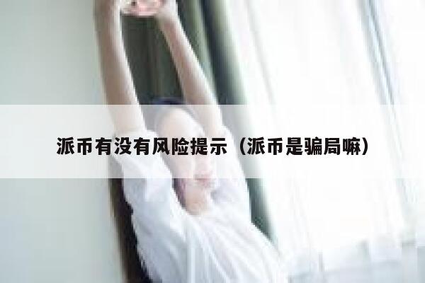 派币有没有风险提示（派币是骗局嘛） 第1张