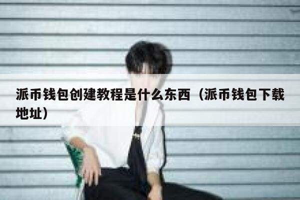 派币钱包创建教程是什么东西（派币钱包下载地址） 第1张