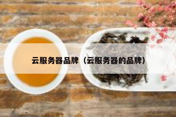 云服务器品牌（云服务器的品牌） 第1张