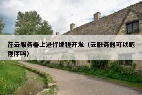 在云服务器上进行编程开发(云服务器可以跑程序吗) 第1张 在云服务器上进行编程开发(云服务器可以跑程序吗) 第1张