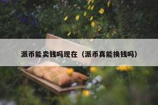 派币能卖钱吗现在（派币真能换钱吗） 第1张