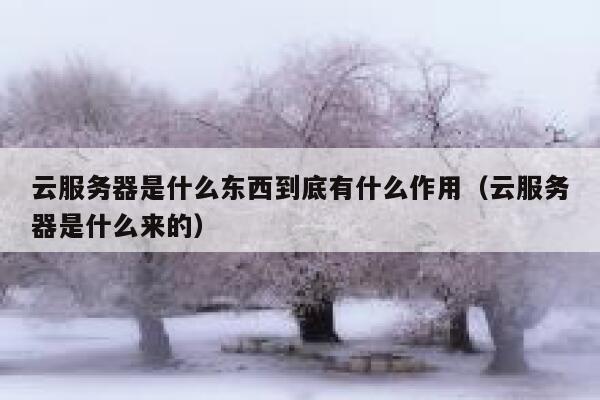 云服务器是什么东西到底有什么作用（云服务器是什么来的） 第1张