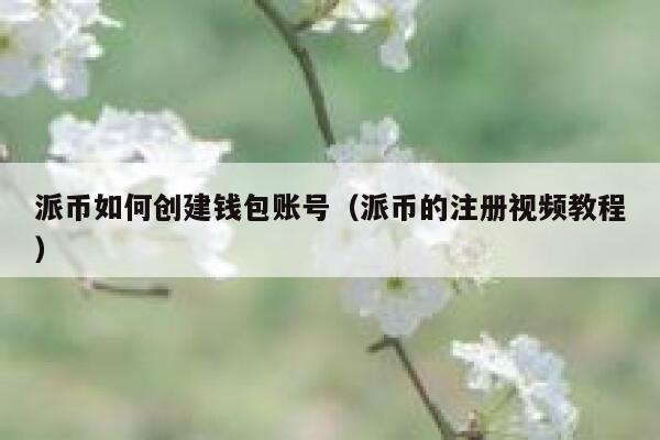 派币如何创建钱包账号（派币的注册视频教程） 第1张