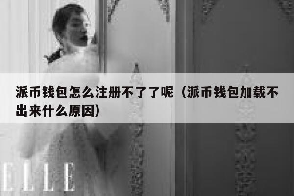 派币钱包怎么注册不了了呢（派币钱包加载不出来什么原因） 第1张