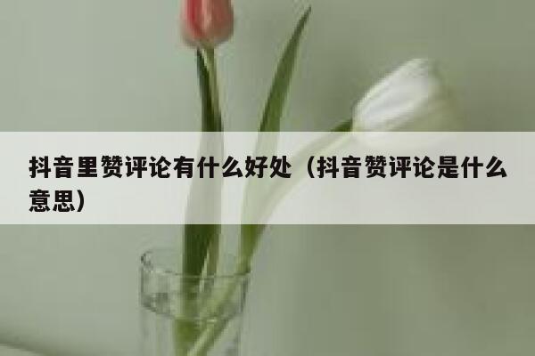 抖音里赞评论有什么好处(抖音赞评论是什么意思) 第1张 抖音里赞评论有什么好处(抖音赞评论是什么意思) 第1张