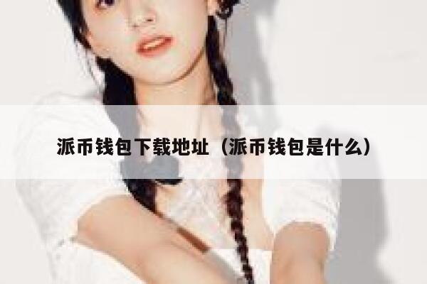 派币钱包下载地址（派币钱包是什么） 第1张