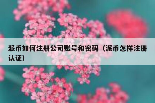 派币如何注册公司账号和密码(派币怎样注册认证) 第1张 派币如何注册公司账号和密码(派币怎样注册认证) 第1张