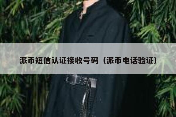 派币短信认证接收号码（派币电话验证） 第1张