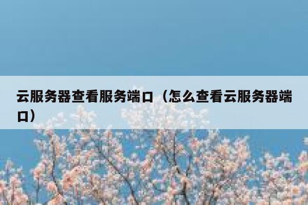 云服务器查看服务端口（怎么查看云服务器端口） 第1张