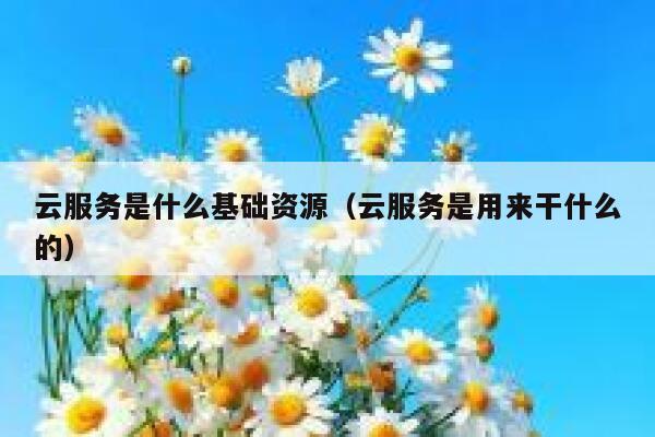 云服务是什么基础资源（云服务是用来干什么的） 第1张