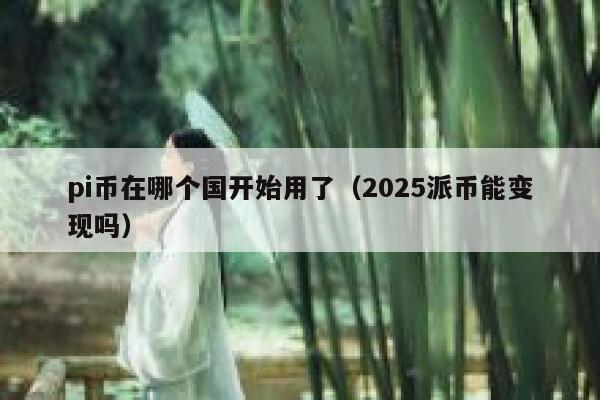 pi币在哪个国开始用了(2025派币能变现吗) 第1张 pi币在哪个国开始用了(2025派币能变现吗) 第1张