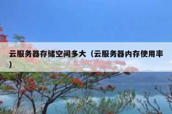 云服务器存储空间多大（云服务器内存使用率） 第1张