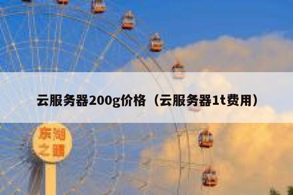 云服务器200g价格（云服务器1t费用） 第1张