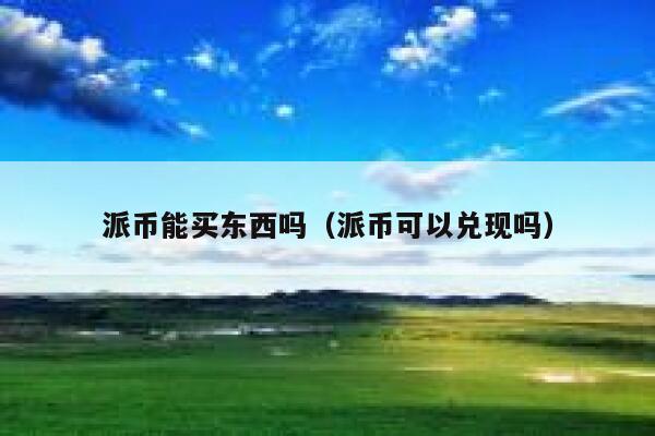 派币能买东西吗（派币可以兑现吗） 第1张
