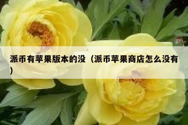 派币有苹果版本的没(派币苹果商店怎么没有) 第1张 派币有苹果版本的没(派币苹果商店怎么没有) 第1张