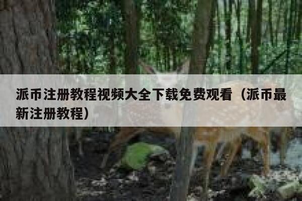 派币注册教程视频大全下载免费观看(派币最新注册教程) 第1张 派币注册教程视频大全下载免费观看(派币最新注册教程) 第1张