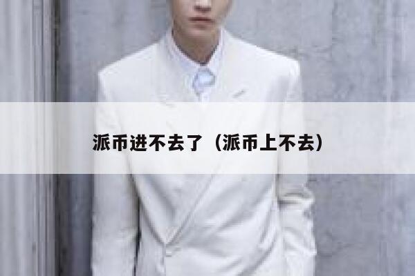 派币进不去了（派币上不去） 第1张