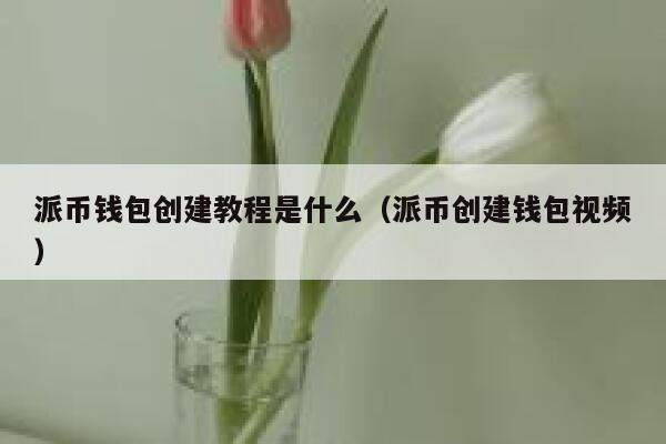 派币钱包创建教程是什么（派币创建钱包视频） 第1张