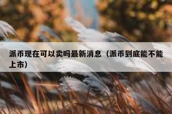 派币现在可以卖吗最新消息（派币到底能不能上市） 第1张