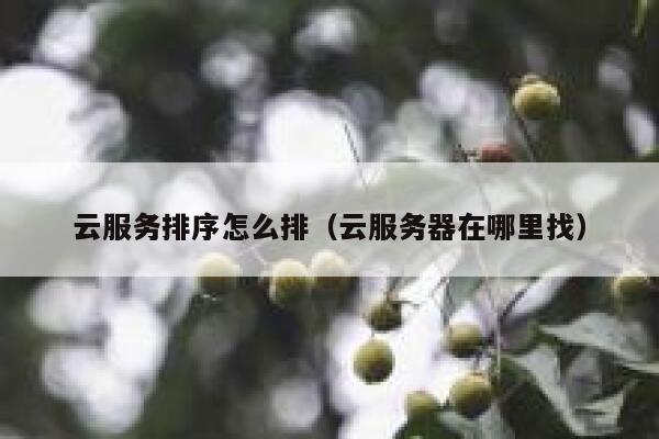 云服务排序怎么排（云服务器在哪里找） 第1张