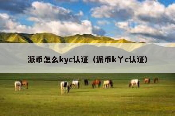 派币怎么kyc认证（派币k丫c认证） 第1张