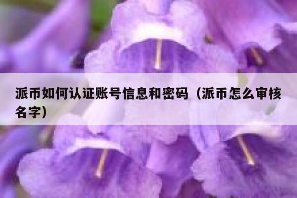 派币如何认证账号信息和密码（派币怎么审核名字） 第1张
