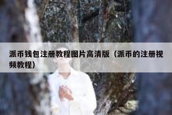 派币钱包注册教程图片高清版(派币的注册视频教程) 第1张 派币钱包注册教程图片高清版(派币的注册视频教程) 第1张