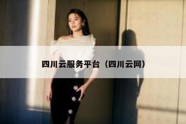 四川云服务平台（四川云网） 第1张
