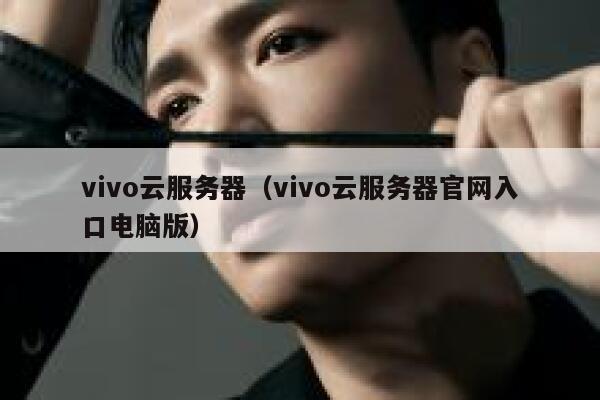 vivo云服务器（vivo云服务器官网入口电脑版） 第1张