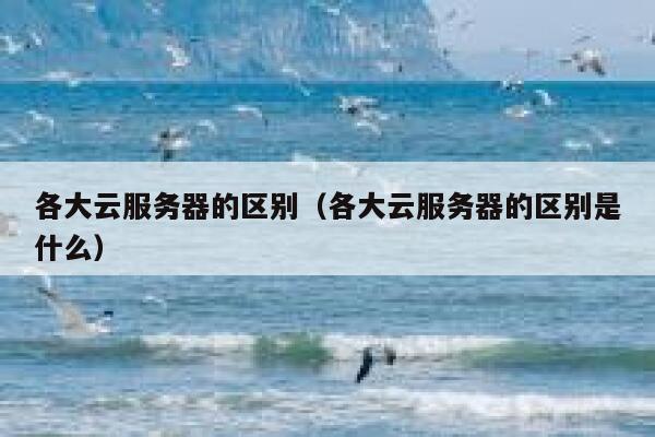 各大云服务器的区别（各大云服务器的区别是什么） 第1张