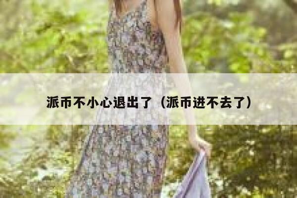 派币不小心退出了(派币进不去了) 第1张 派币不小心退出了(派币进不去了) 第1张