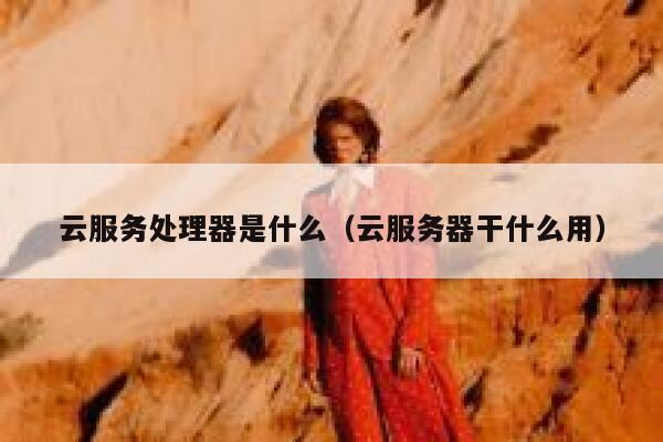 云服务处理器是什么（云服务器干什么用） 第1张