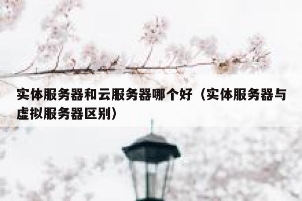 实体服务器和云服务器哪个好(实体服务器与虚拟服务器区别) 第1张 实体服务器和云服务器哪个好(实体服务器与虚拟服务器区别) 第1张