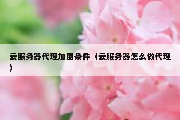云服务器代理加盟条件（云服务器怎么做代理） 第1张