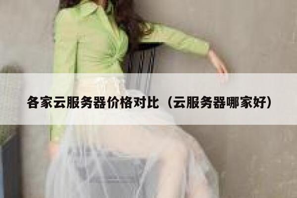各家云服务器价格对比（云服务器哪家好） 第1张
