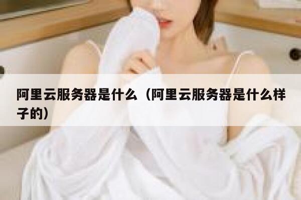 阿里云服务器是什么（阿里云服务器是什么样子的） 第1张