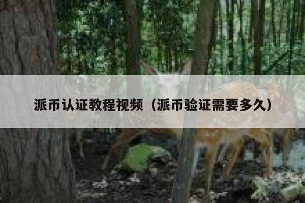 派币认证教程视频（派币验证需要多久） 第1张
