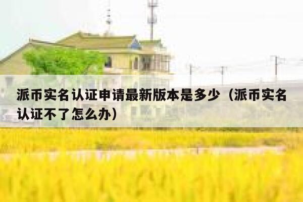 派币实名认证申请最新版本是多少（派币实名认证不了怎么办） 第1张